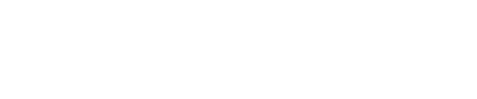 Logo Ulbig